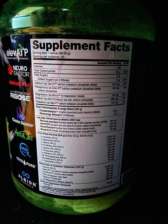 Erfahrungsbericht über den NutraBio Leg Day