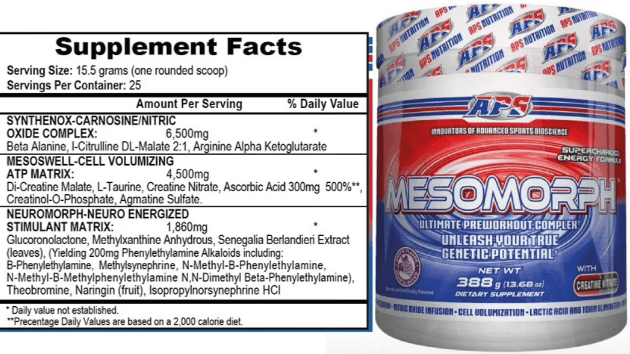 APS Mesomorph V3 Erfahrungsbericht ! Wir haben Mesomorph für euch getestet.